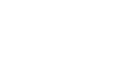 וידיס